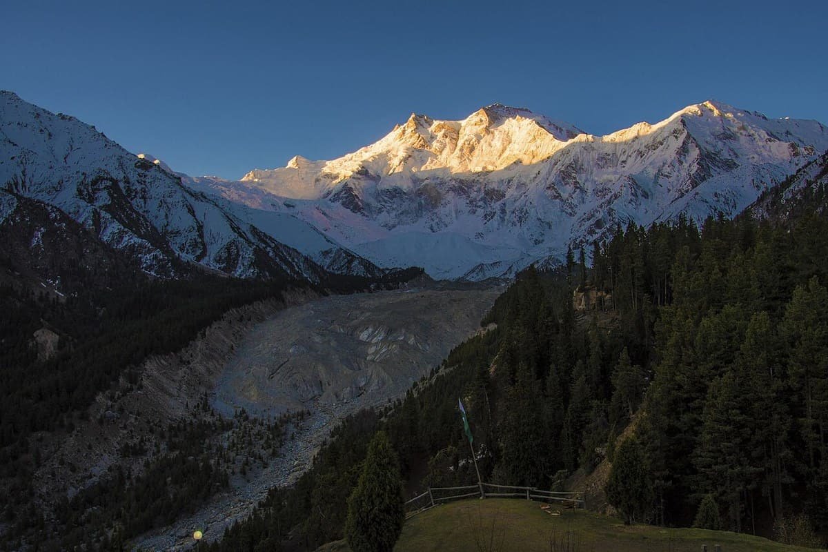 First sunlight on the summit of Nanga Parbat above the Raikot glacier and the pines of Fairy Meadows
