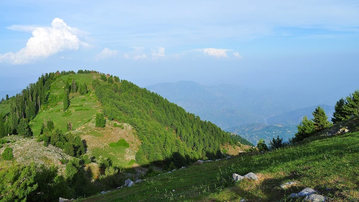 A green meadow ridge dotted with pine trees rises toward Mushkpuri Top, with hazy blue hills stretching away behind.