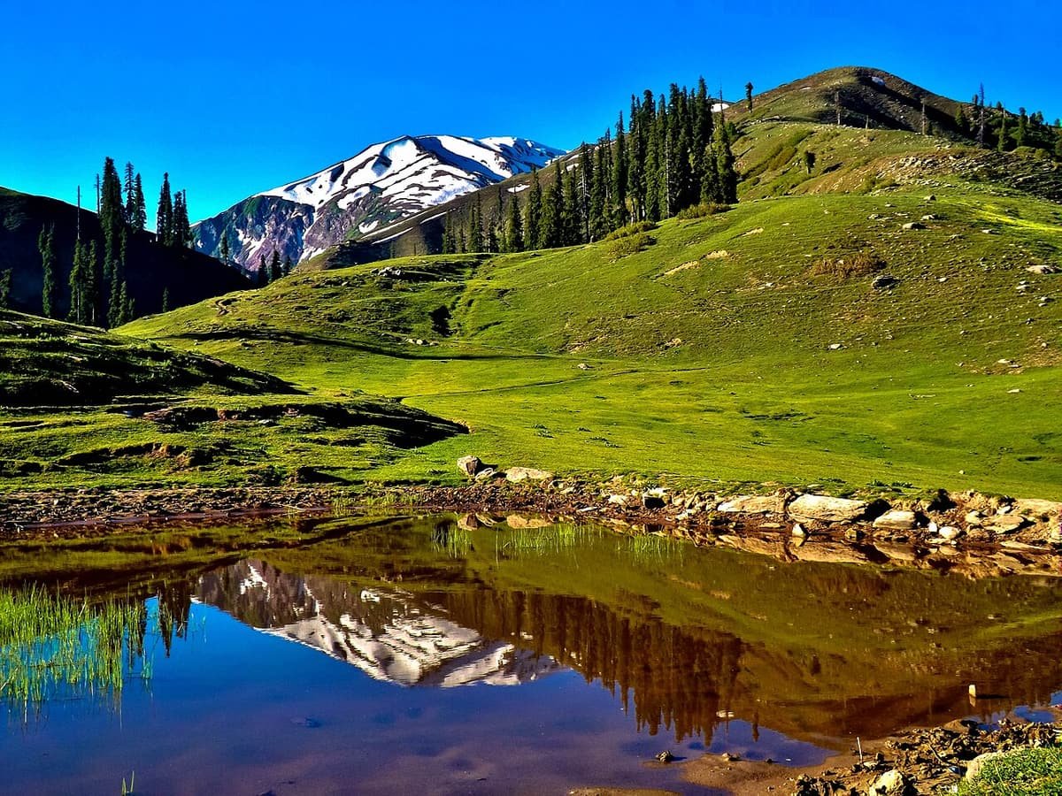 Bright green meadows and pines at Siri Paye, with a snowy peak mirrored in a small pool
