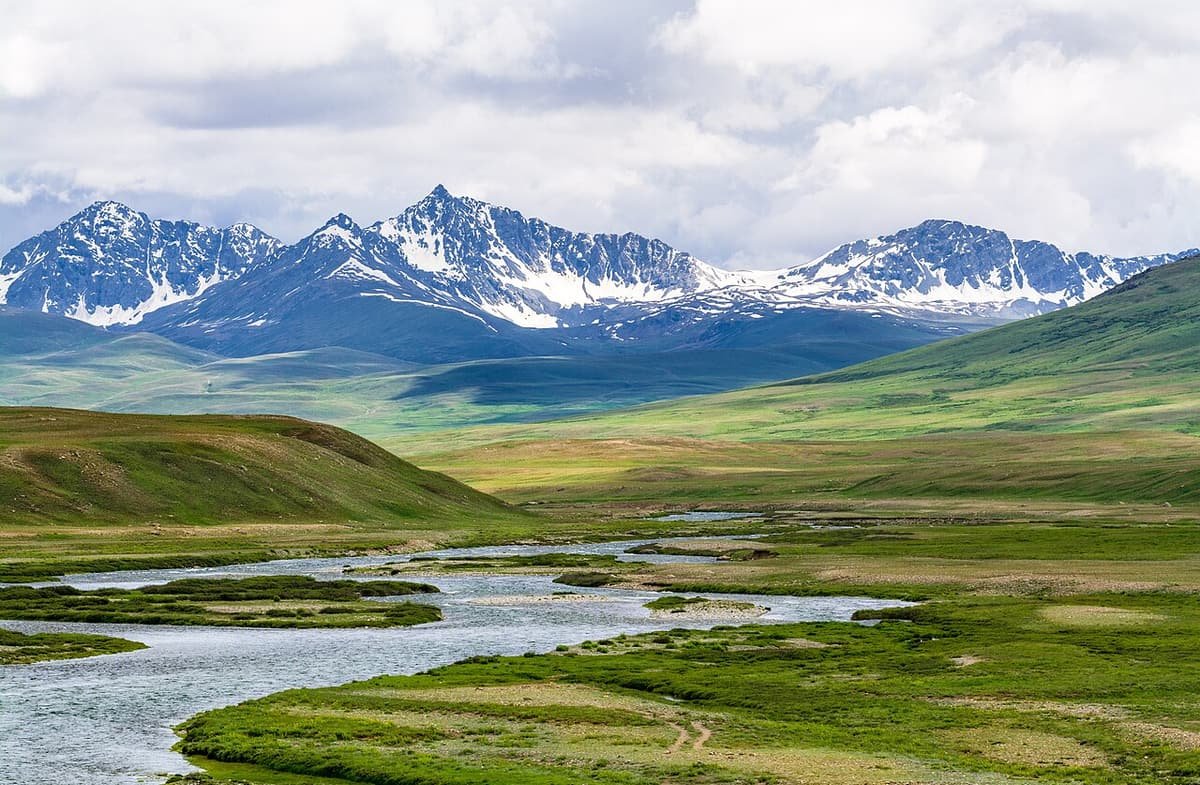 A clear stream winding through the green grassland of the Deosai plains, under a line of snowy peaks