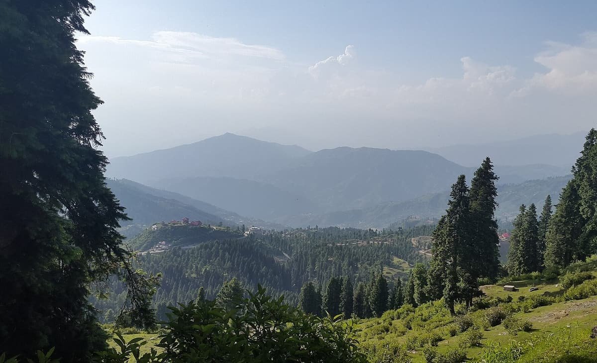 Fir trees frame a view across forested ridges and hazy mountains from a green hillside at Malam Jabba.